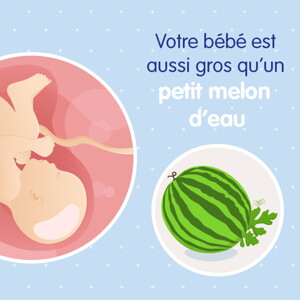 pregnancy-belly-fetal-development-week-39fr pregnancy-belly-fetal-development-week-39fr