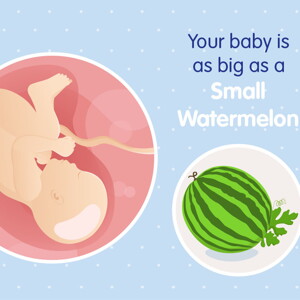 pregnancy week39 temporary pregnancy week39 temporary