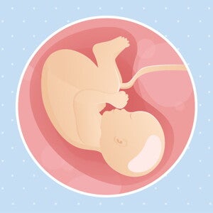 pregnancy week40 temporary