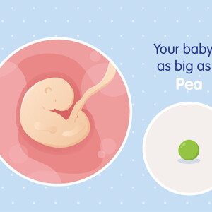 pregnancy week5 temporary