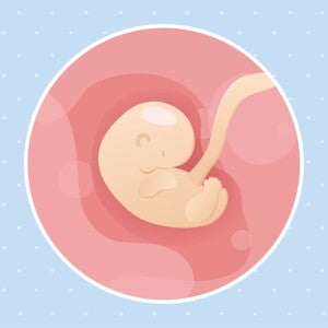 pregnancy week6 temporary