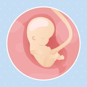 pregnancy week9 temporary