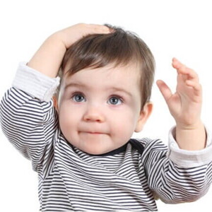 Toddler Foods