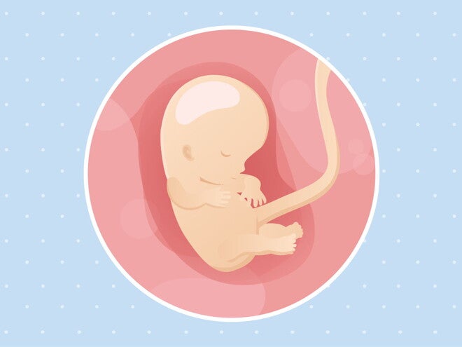 pregnancy week10 temporary pregnancy week10 temporary