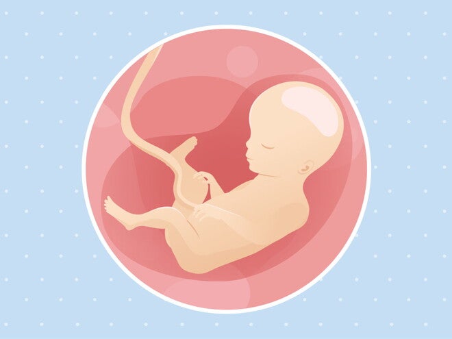 pregnancy week27 temporary pregnancy week27 temporary