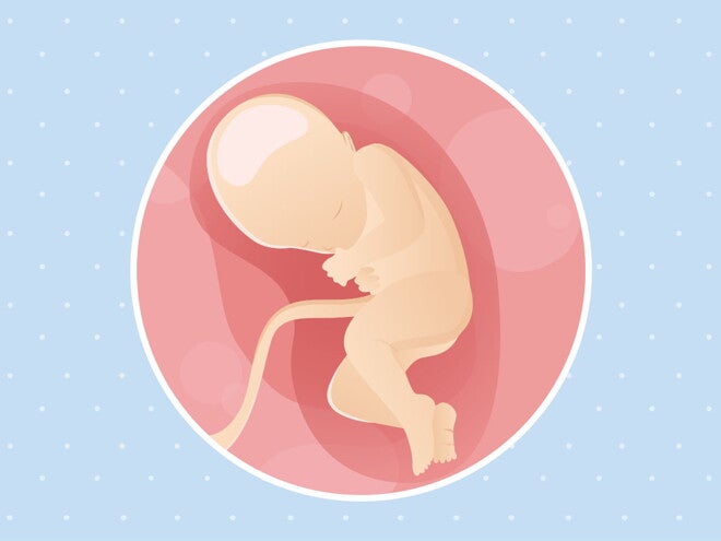 pregnancy week32 temporary pregnancy week32 temporary
