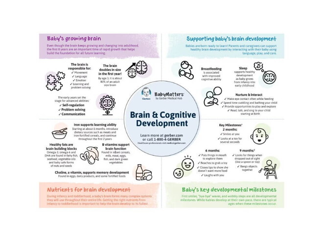 Brain & Cognitive Development Brain & Cognitive Development