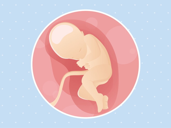 pregnancy week32 temporary pregnancy week32 temporary