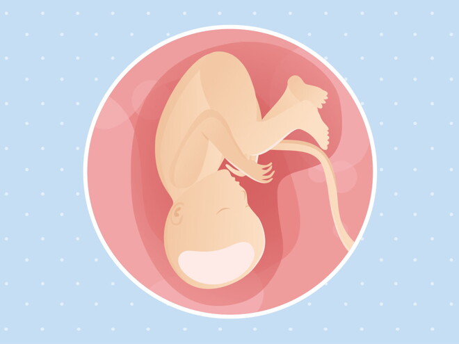 pregnancy week37 temporary pregnancy week37 temporary