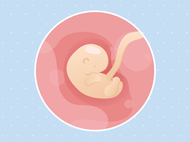pregnancy week6 temporary