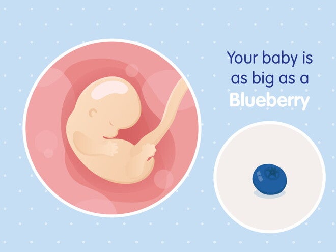 pregnancy week7 temporary pregnancy week7 temporary