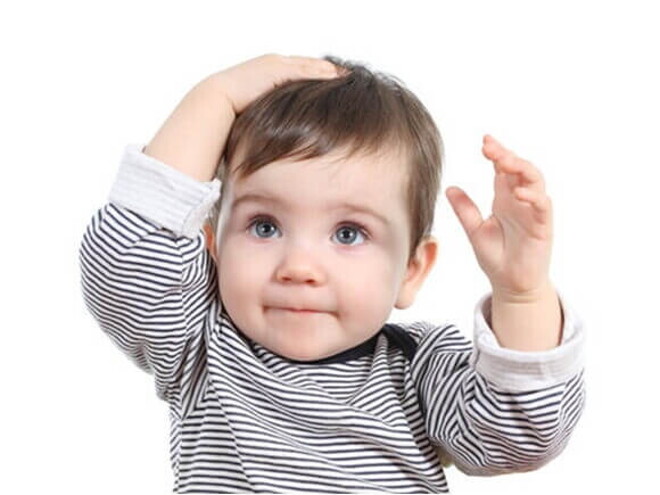 Nutritious Gerber® Toddler Foods Nutritious Gerber® Toddler Foods