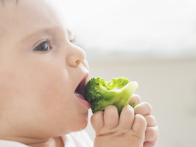Toddler meals ideas Toddler meals ideas