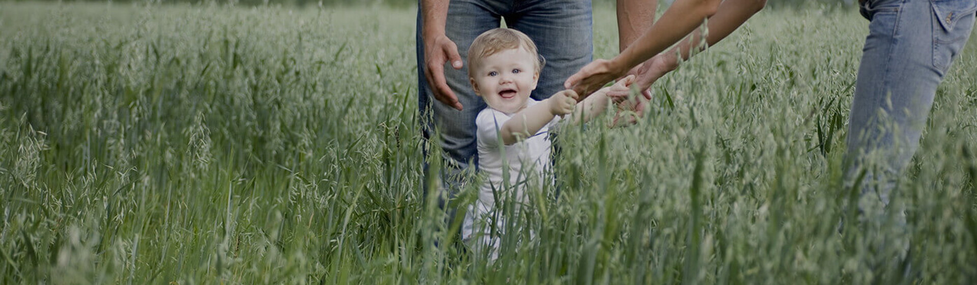 12 + months 12 + months