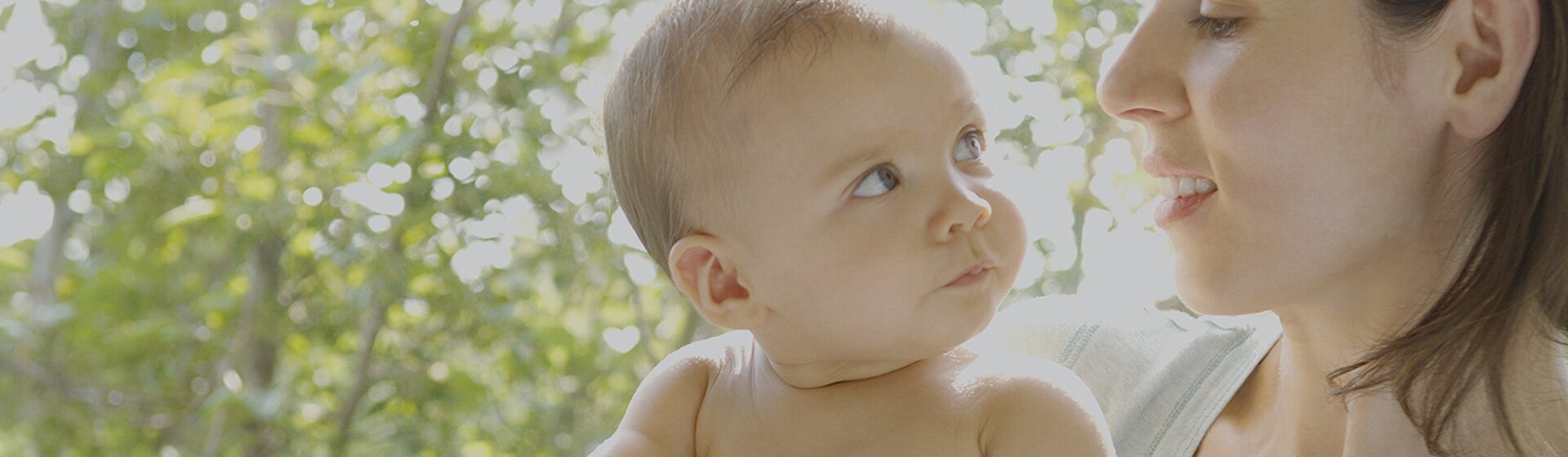 6 to 8 months 6 to 8 months