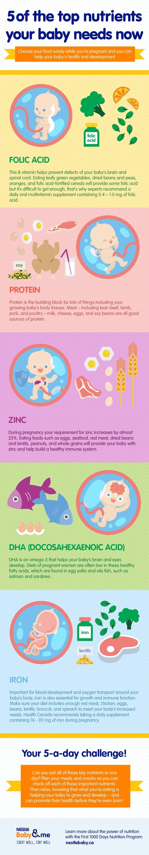 Diet during pregnancy_03_ACT_5 of the top nutrients_900px