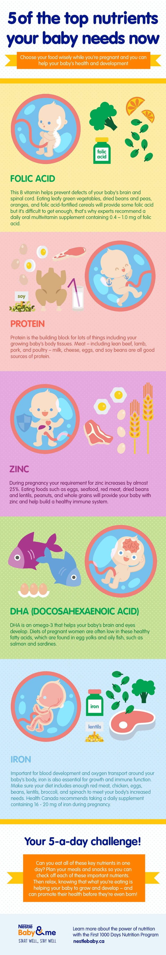 Diet during pregnancy_03_ACT_5 of the top nutrients_900px Diet during pregnancy_03_ACT_5 of the top nutrients_900px