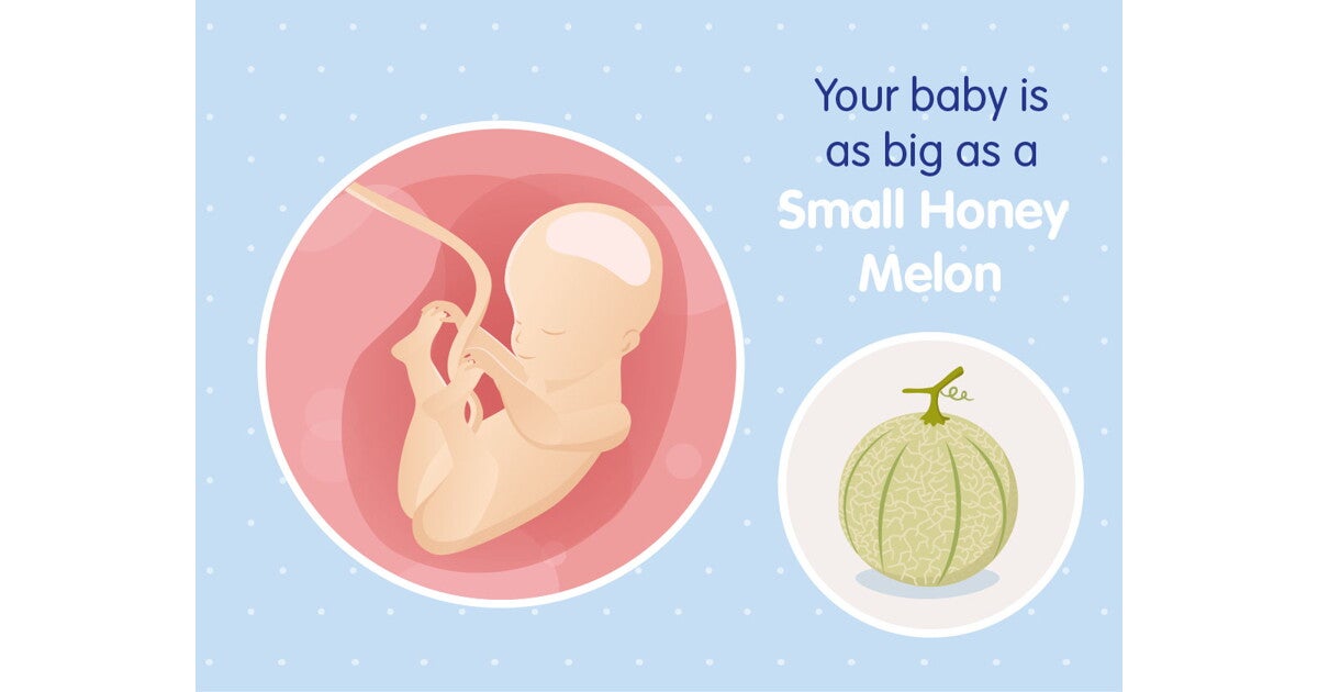 25-weeks pregnant: baby development and diet