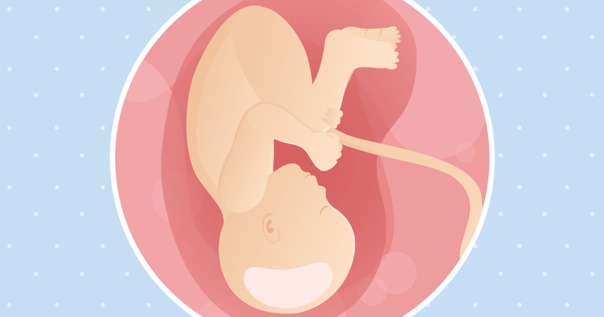 Caesarean section (C-section) – Pregnancy Info