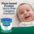 Plant based baby formula