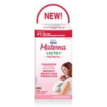 lacto plus